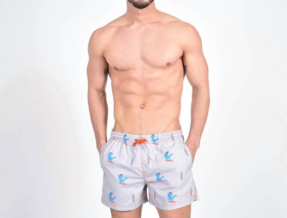 NEW EIGHT X surfing t-rex print swim trunks in grey